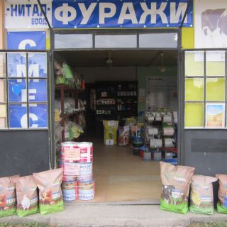 Нова Загора 